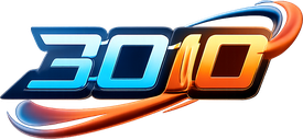 3010